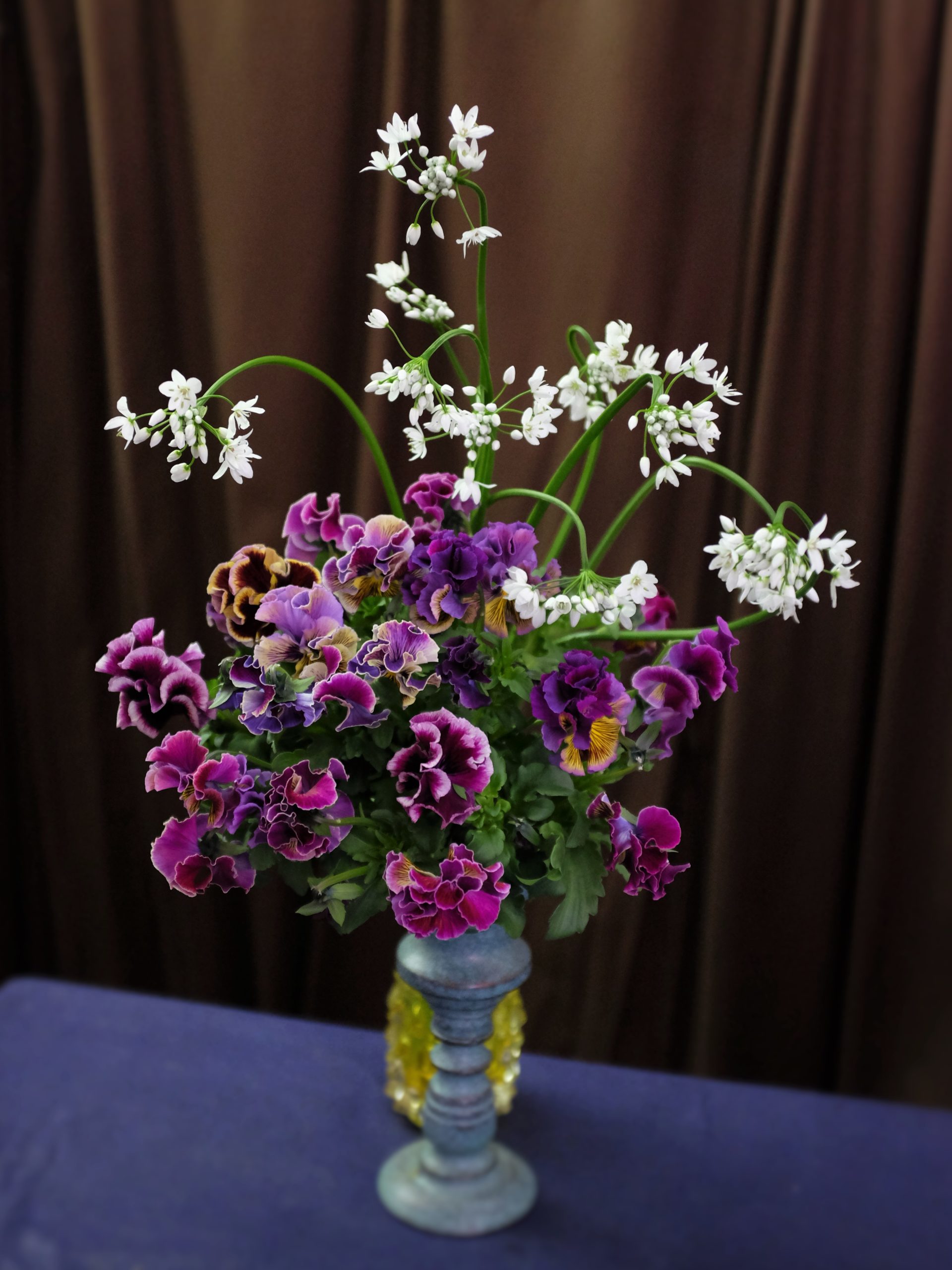 パンジーとコワニー